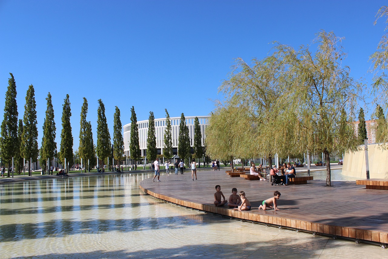 因为预测不 因为预测不